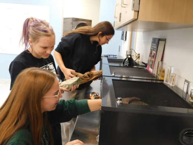Bridgeport vet students building reptile rooms
